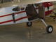 1951 Cessna 195 image 4